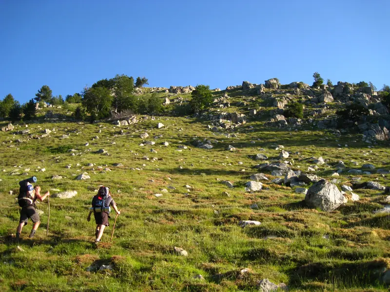 Montée dans l’herbe d’altitude