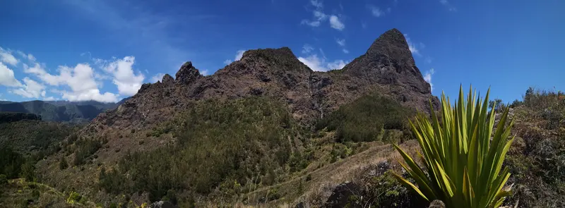 Pitons acérés et aloès