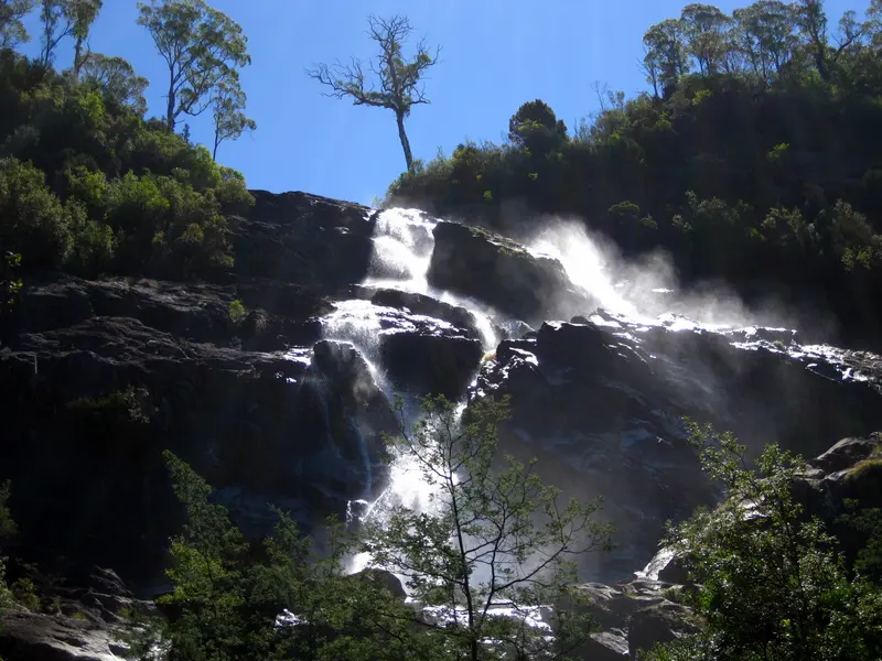 Une cascade dans la forêt